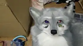 大猫猫小拳拳捶你胸口3.0