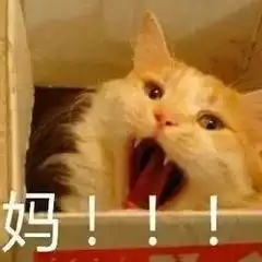 孩子提醒舅舅送错幼儿园,却多次遭怼别想逃学,你给我进去亲爹却说...