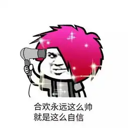 斗图我从来没输过表情包大作战