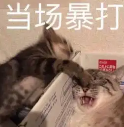 社会人搞笑表情包多处几个男朋友咋了我打字快也不是聊不过来