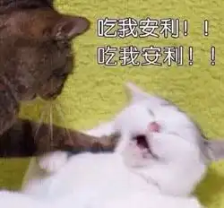 逗我呢表情包morning