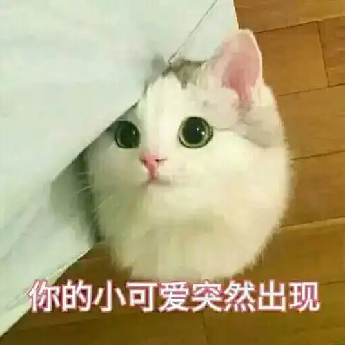 今天也要做一个快乐的盒子精