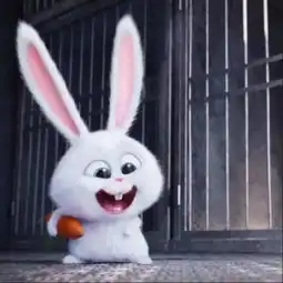 永远都抱着一根萝卜的兔子它叫什么啊
