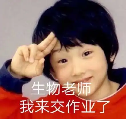大威天龙表情包图片交作