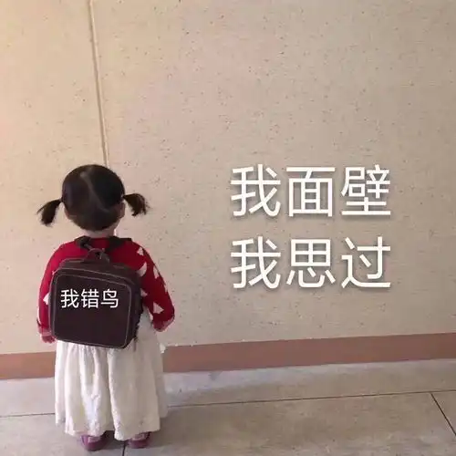 有什么面壁思过,道歉的表情包吗