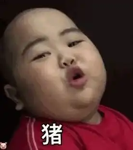 印尼表情包小胖收到