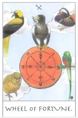 塔罗占卜七夕你能脱单吗