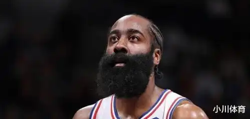 4500万甚至更多火箭队在明夏的薪资空间上远在联盟之上,或者可以签下不只一个球星