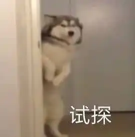 比起填充成寿星,动这里才是周迅最致命的错误